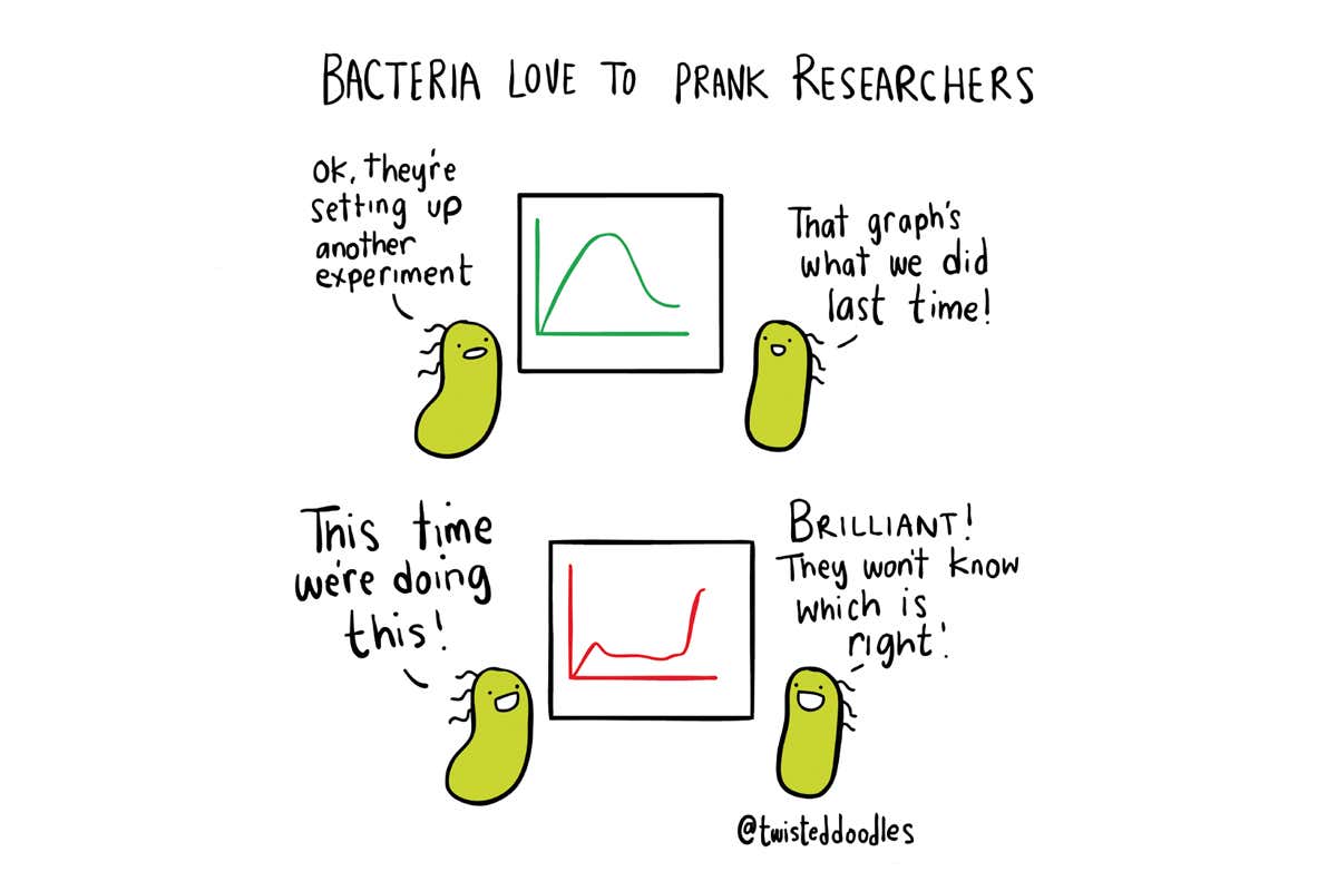 Twisteddoodles on bacteria that like to prank researchers