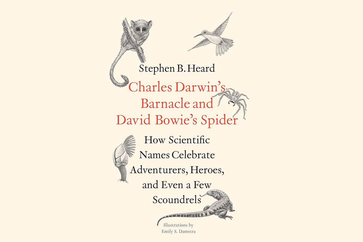 New Scientist. Science news and long reads from expert journalists, covering developments in science, technology, health and the environment on the website and the magazine.