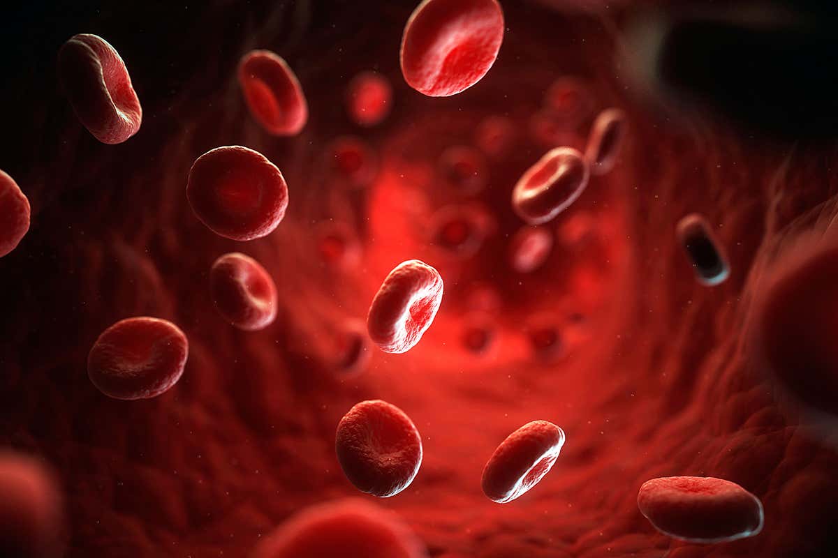 Tiny robots can travel through rushing blood to deliver drugs