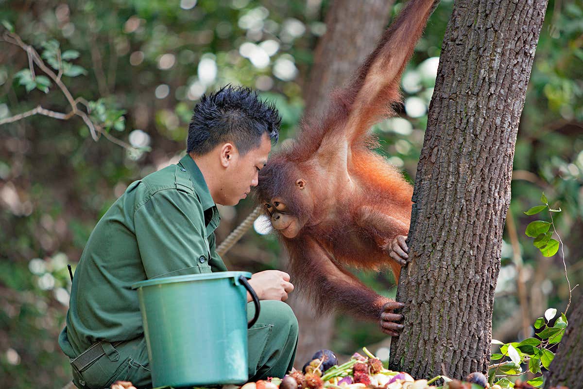 New Scientist. Science news and long reads from expert journalists, covering developments in science, technology, health and the environment on the website and the magazine.
