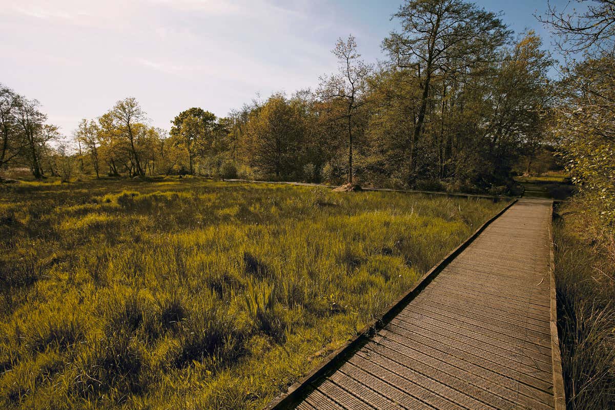 New Scientist. Science news and long reads from expert journalists, covering developments in science, technology, health and the environment on the website and the magazine.