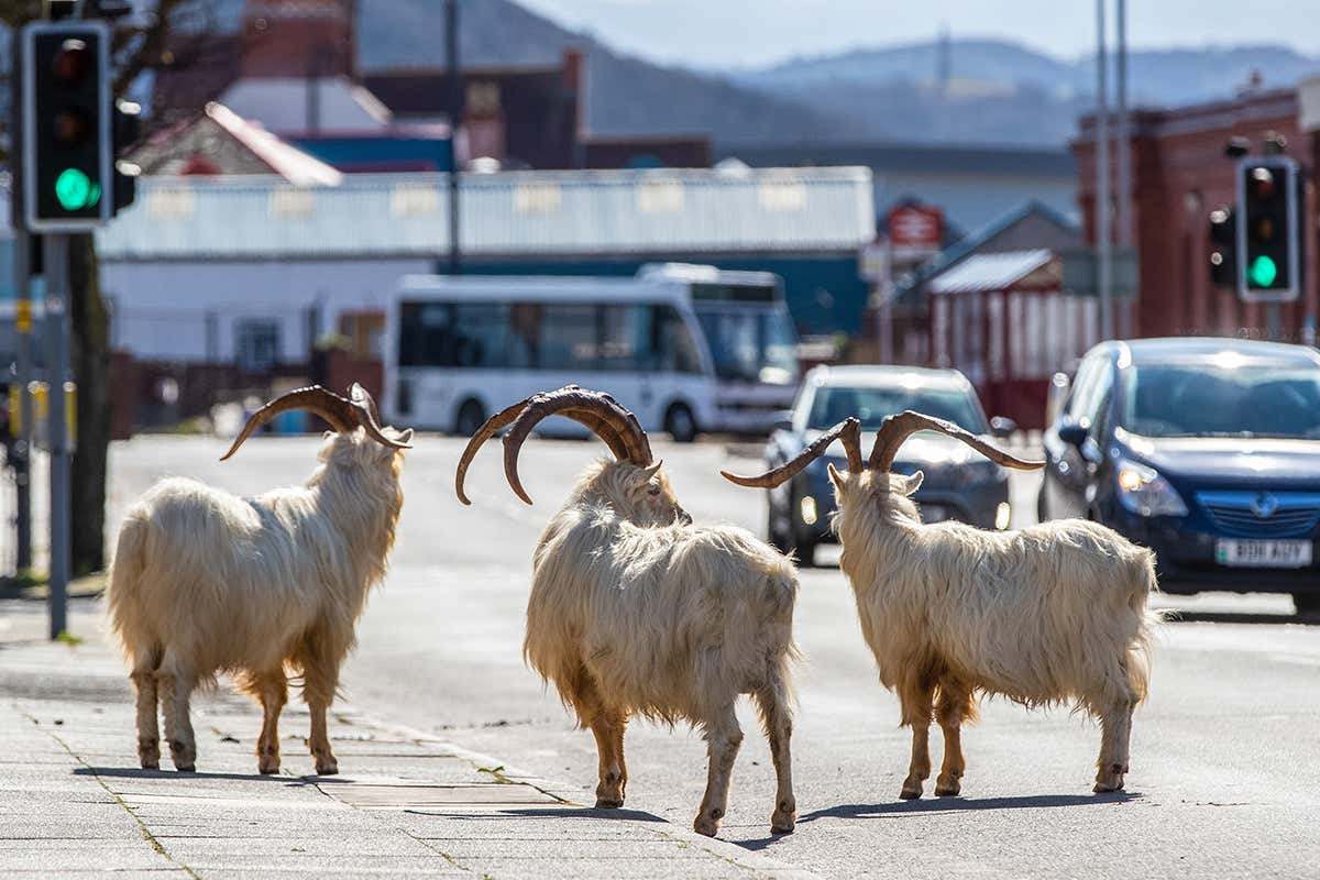 New Scientist. Science news and long reads from expert journalists, covering developments in science, technology, health and the environment on the website and the magazine.