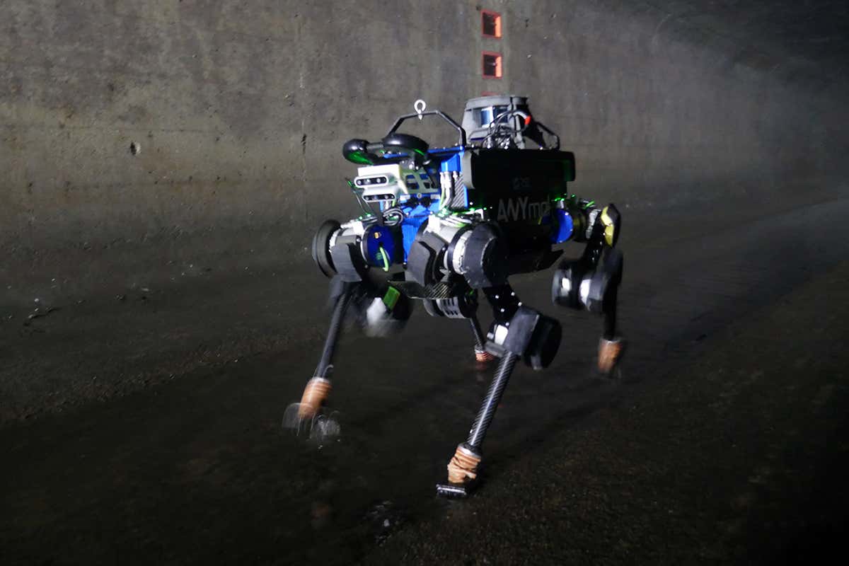 New Scientist. Science news and long reads from expert journalists, covering developments in science, technology, health and the environment on the website and the magazine.