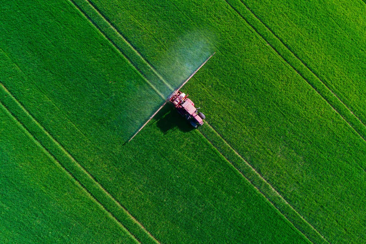 Crops sprayed with 'barcoded' spores could help trace food poisoning