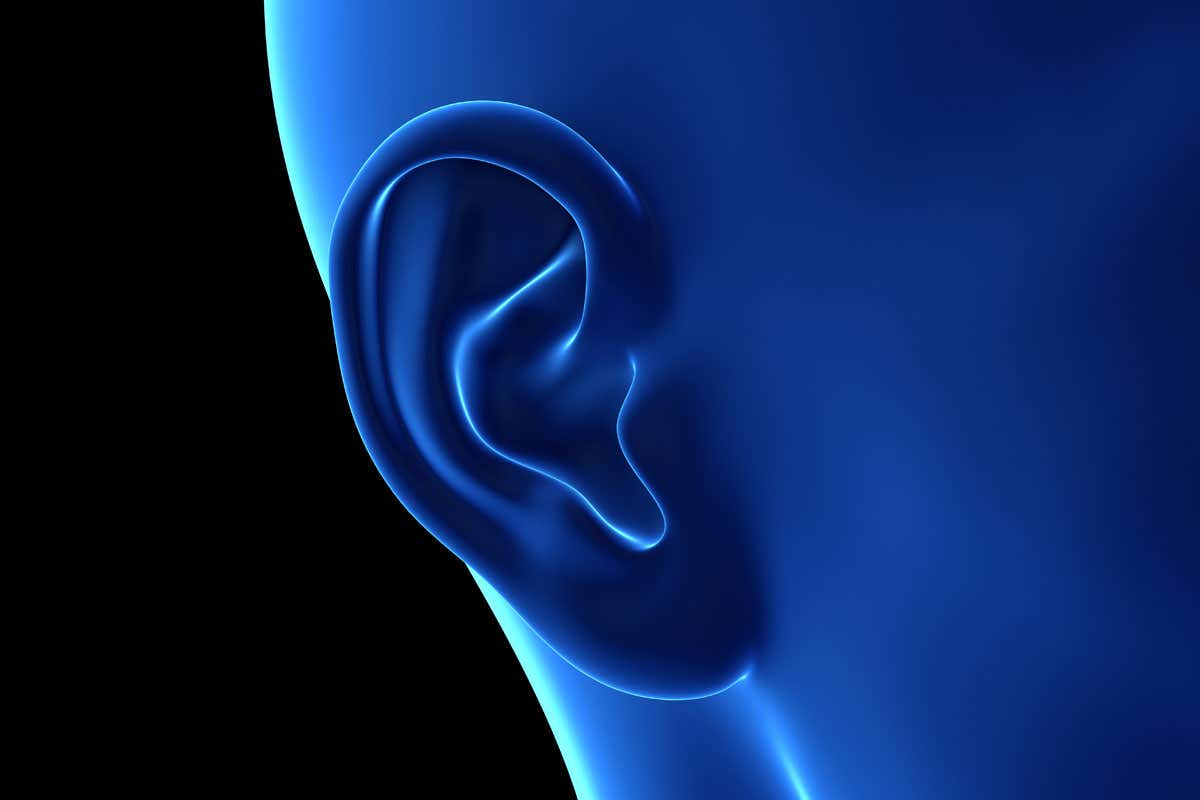 Human ear