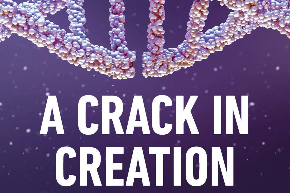 A Crack in Creation