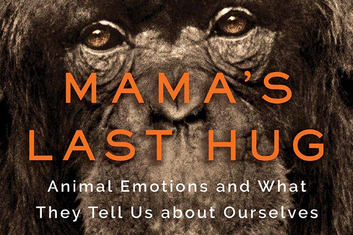 Mamas Last Hug