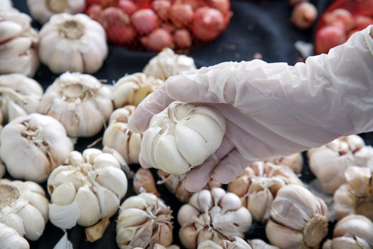 New Scientist. Science news and long reads from expert journalists, covering developments in science, technology, health and the environment on the website and the magazine.