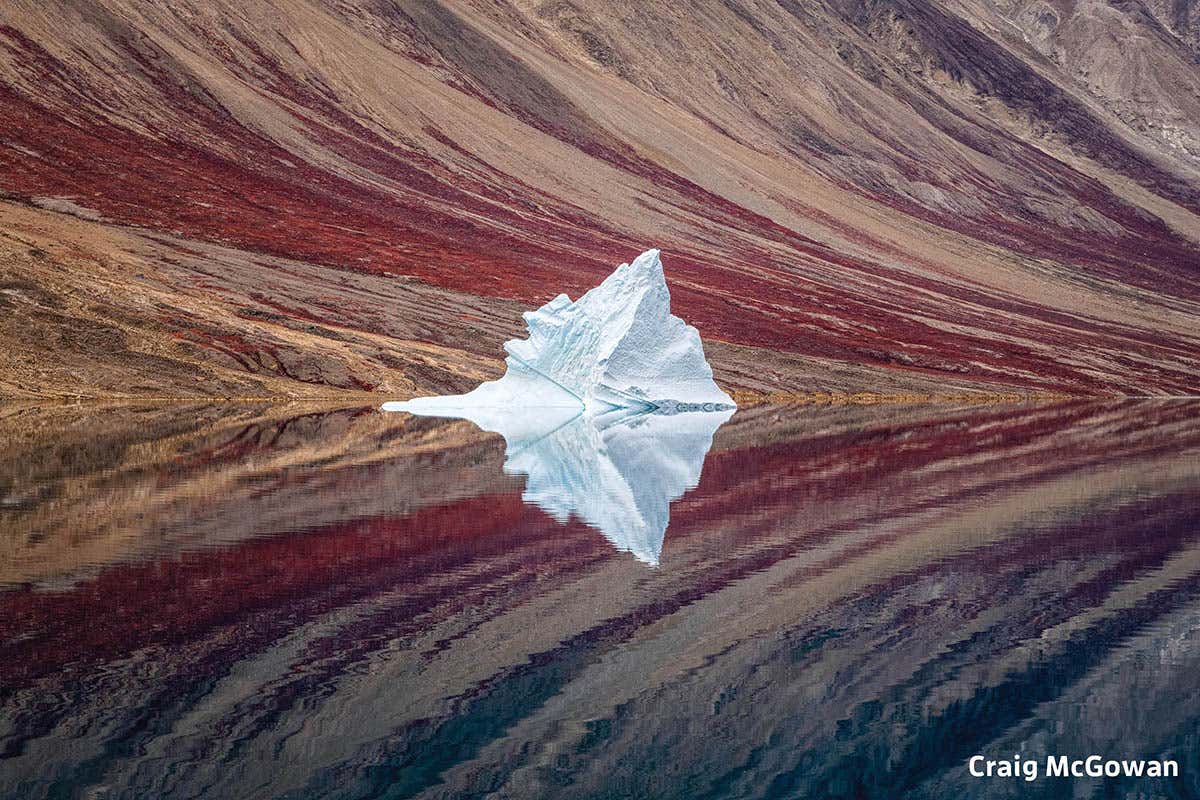 New Scientist. Science news and long reads from expert journalists, covering developments in science, technology, health and the environment on the website and the magazine.