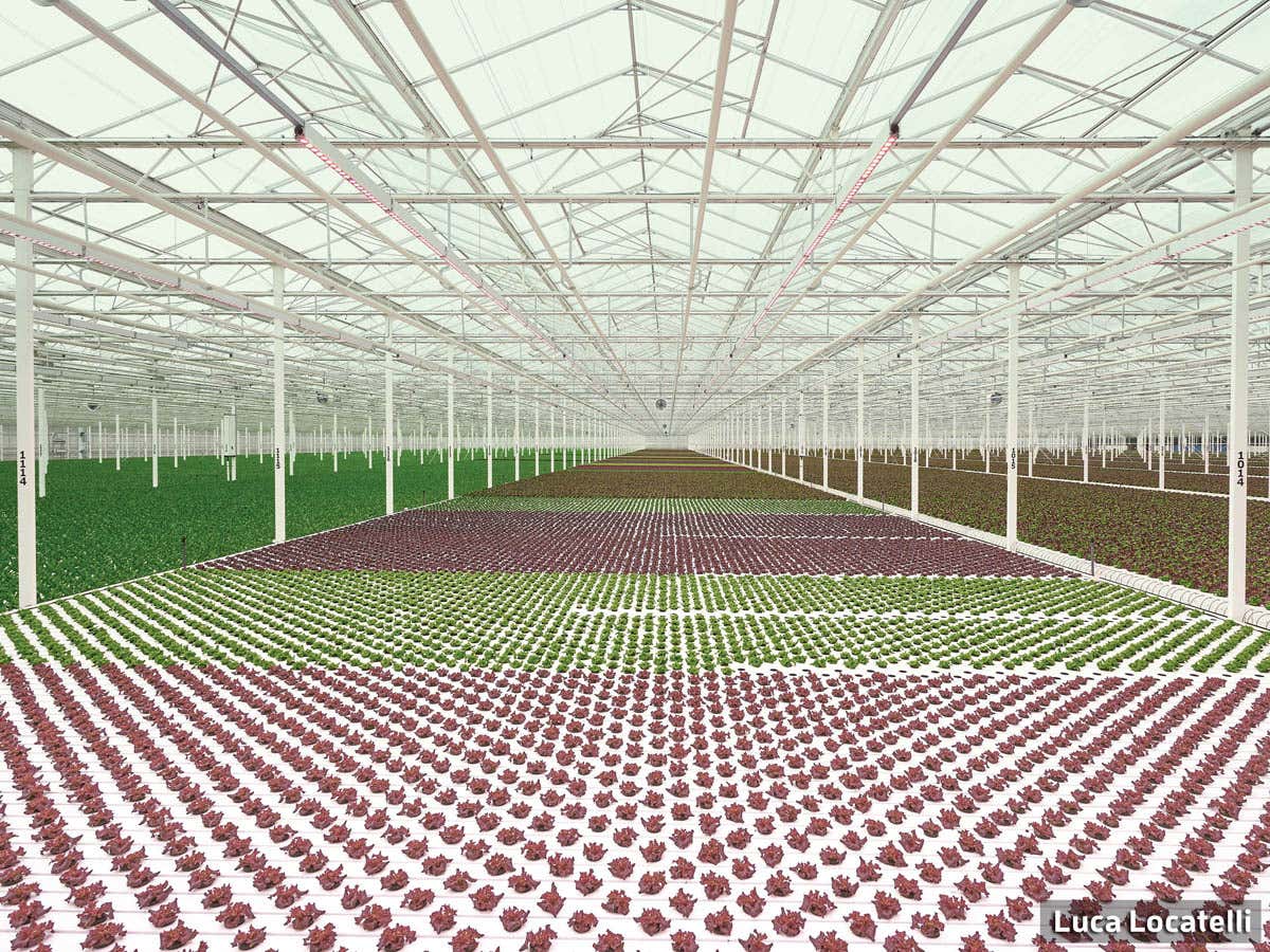 New Scientist. Science news and long reads from expert journalists, covering developments in science, technology, health and the environment on the website and the magazine.