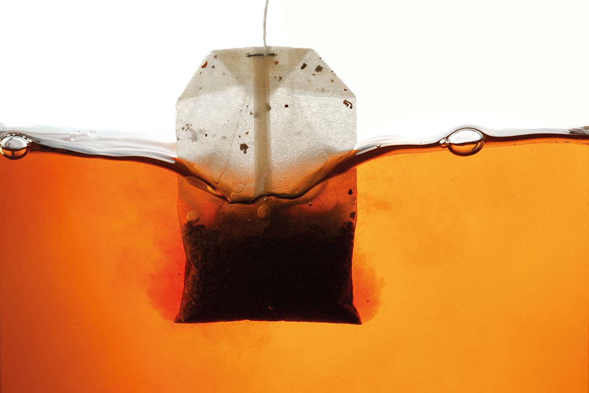 Can you make your own homebrew decaffeinated tea?