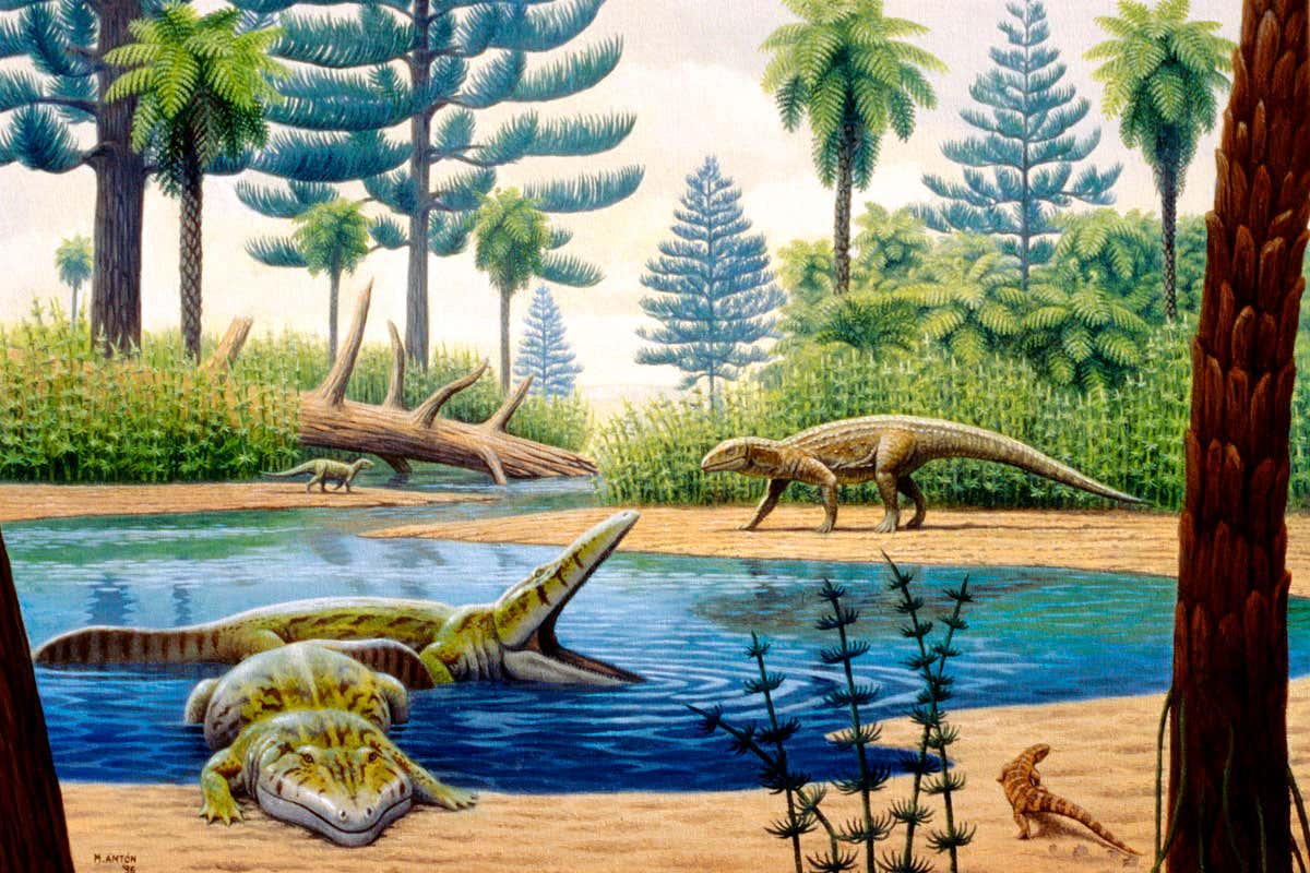 Triassic environment