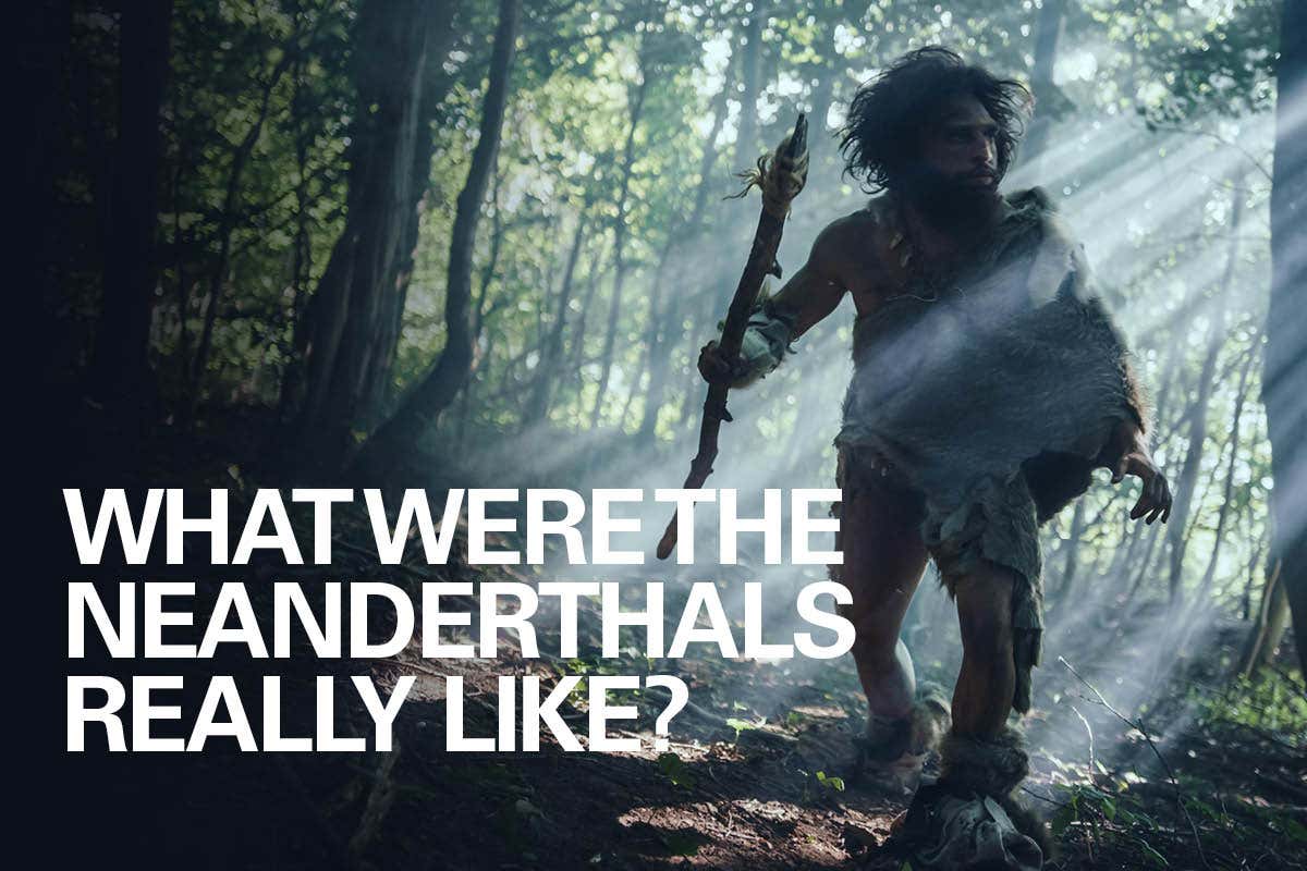 Who were the Neanderthals?