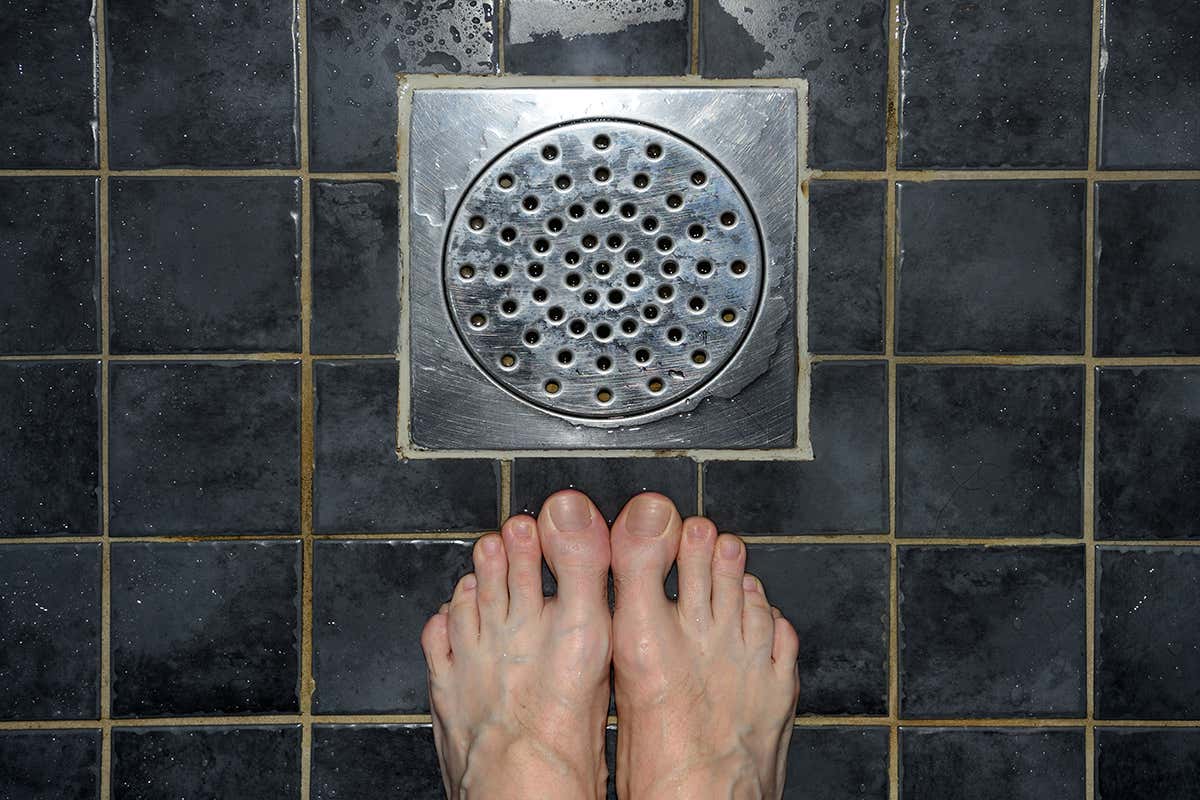 shower drain