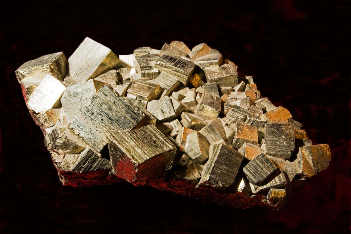 Complex cells may have evolved due to a shortage of trace metals