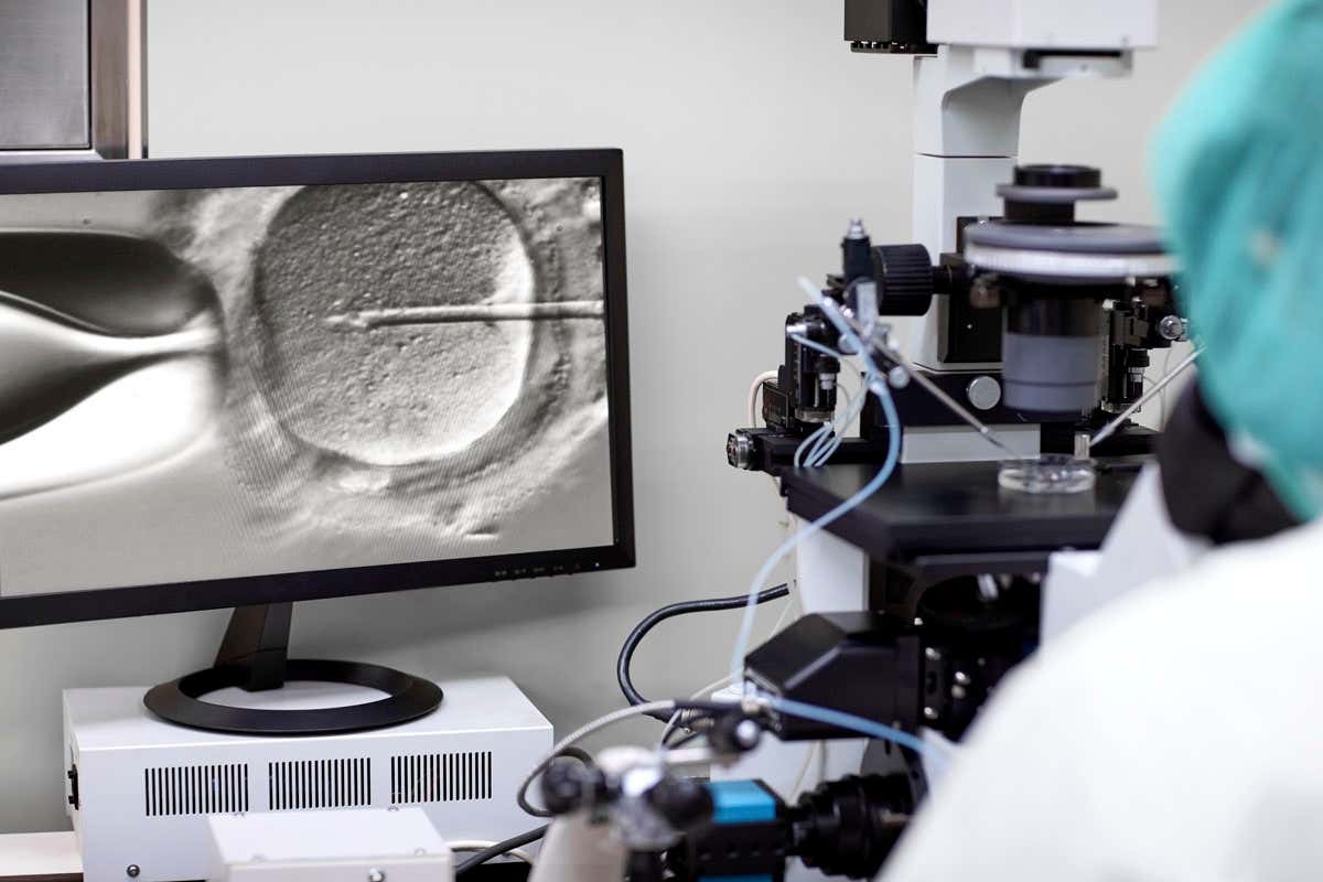 Delaying IVF by three months doesn't seem to affect success rates
