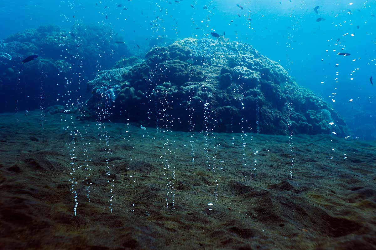 New Scientist. Science news and long reads from expert journalists, covering developments in science, technology, health and the environment on the website and the magazine.