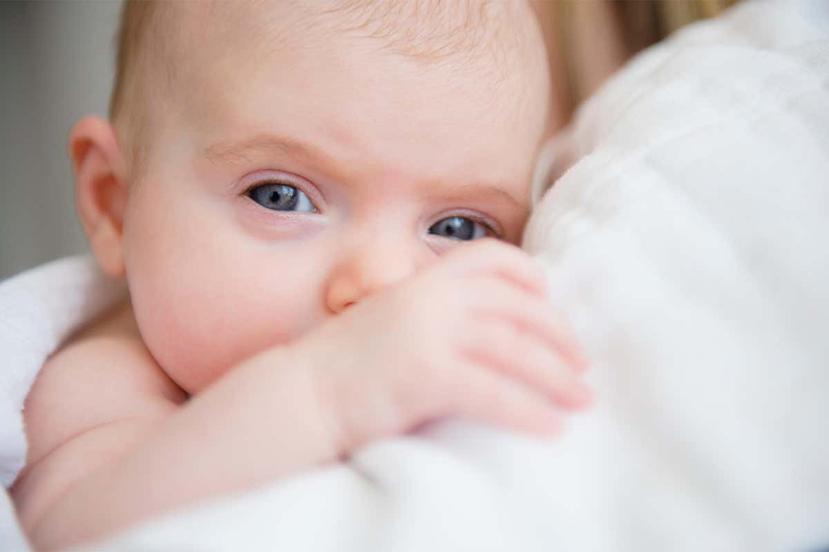 Nature_versus_nature