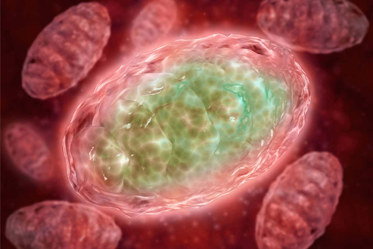 New Scientist. Science news and long reads from expert journalists, covering developments in science, technology, health and the environment on the website and the magazine.