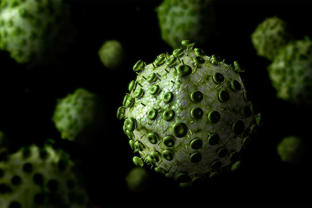 Microscopic view of HIV virus (retrovirus)