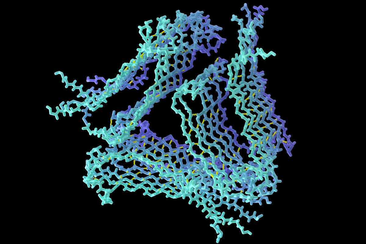 Alzheimer's beta-amyloid fibrils