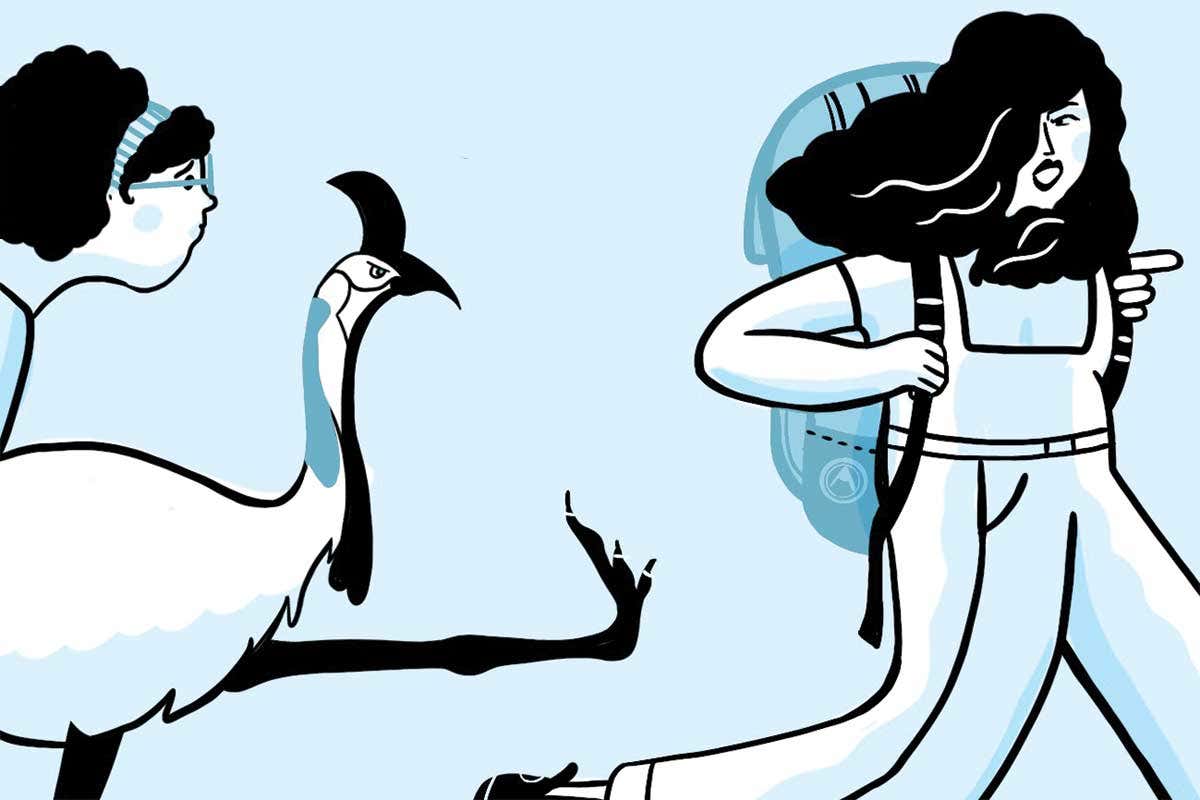 Keep your distance from cassowaries – and not just because of covid-19