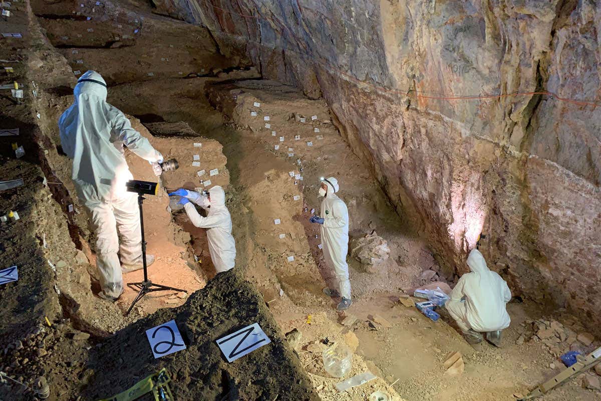 New Scientist. Science news and long reads from expert journalists, covering developments in science, technology, health and the environment on the website and the magazine.