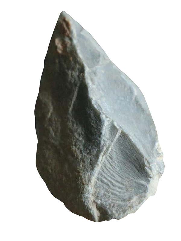 New Scientist. Science news and long reads from expert journalists, covering developments in science, technology, health and the environment on the website and the magazine.