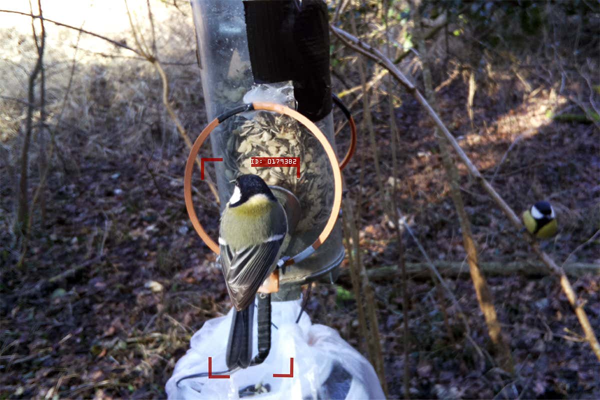 New Scientist. Science news and long reads from expert journalists, covering developments in science, technology, health and the environment on the website and the magazine.