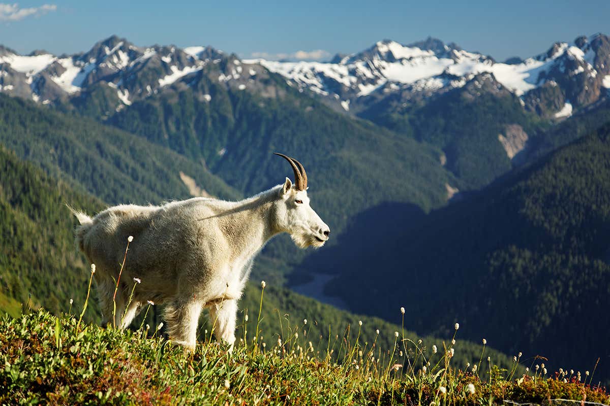 This week’s new questions