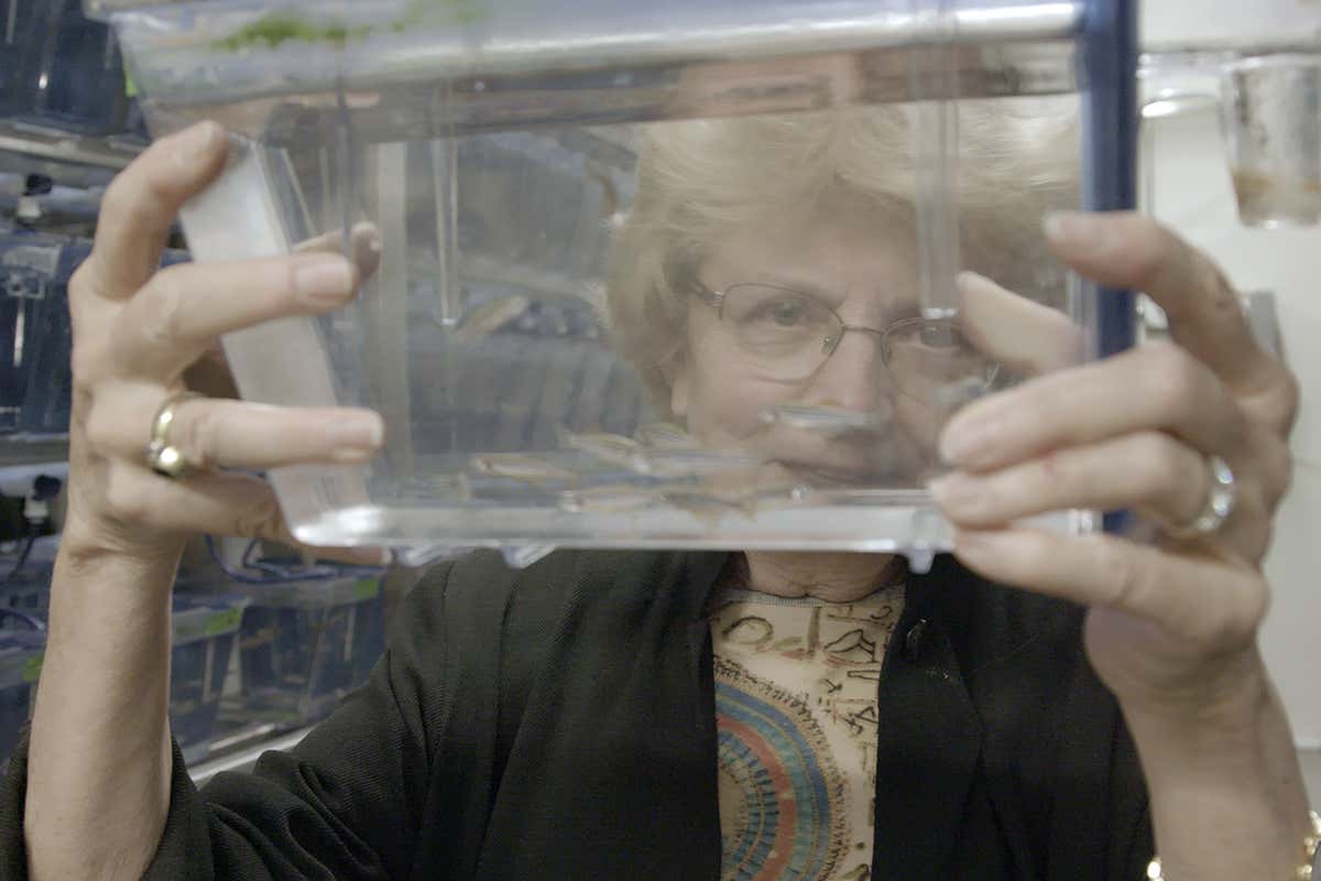 New Scientist. Science news and long reads from expert journalists, covering developments in science, technology, health and the environment on the website and the magazine.