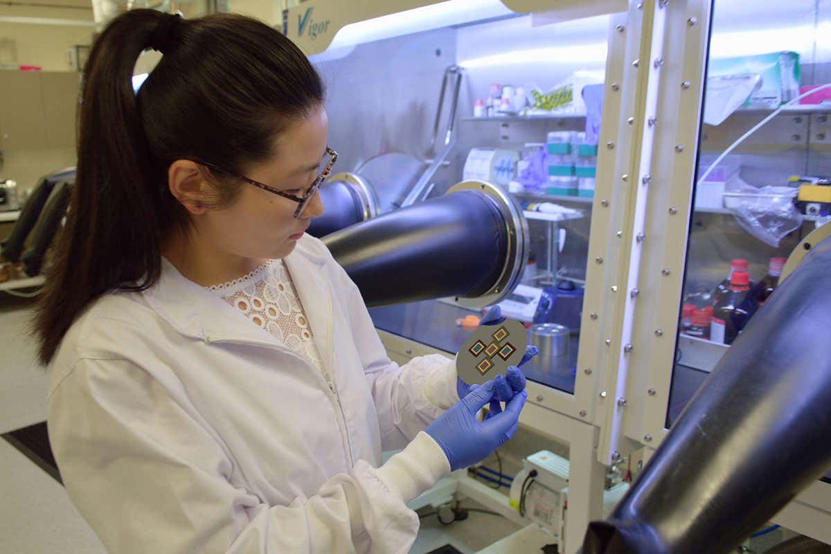 Perovskite solar cells