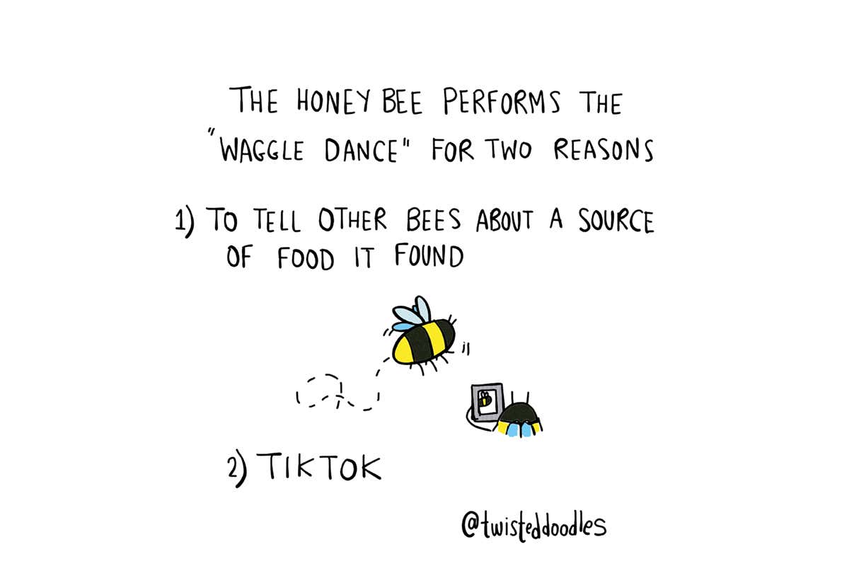 Twisteddoodles on the real reasons honeybees do the waggle dance