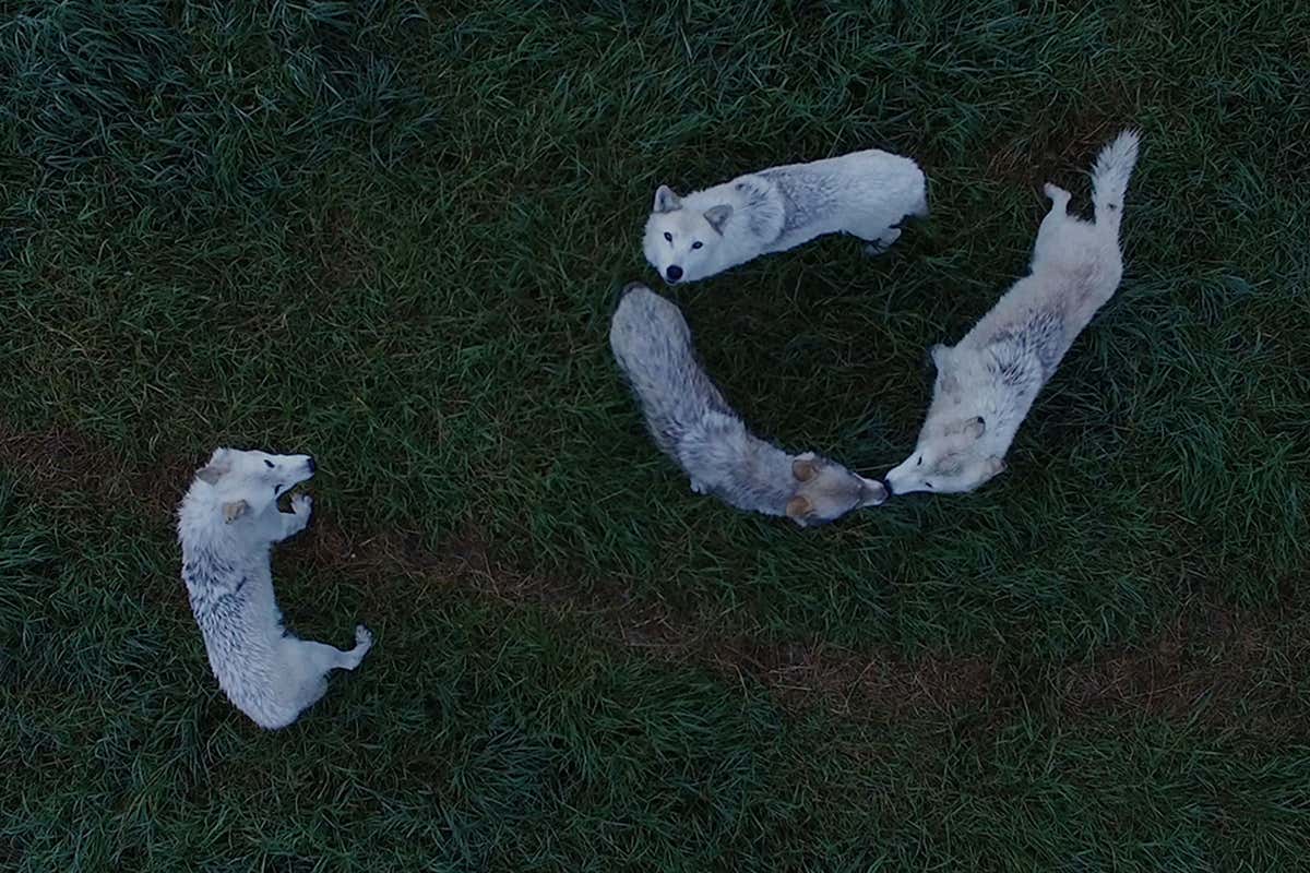 Don’t miss: Jamie Foxx and Joseph Gordon-Levitt star in Project Power