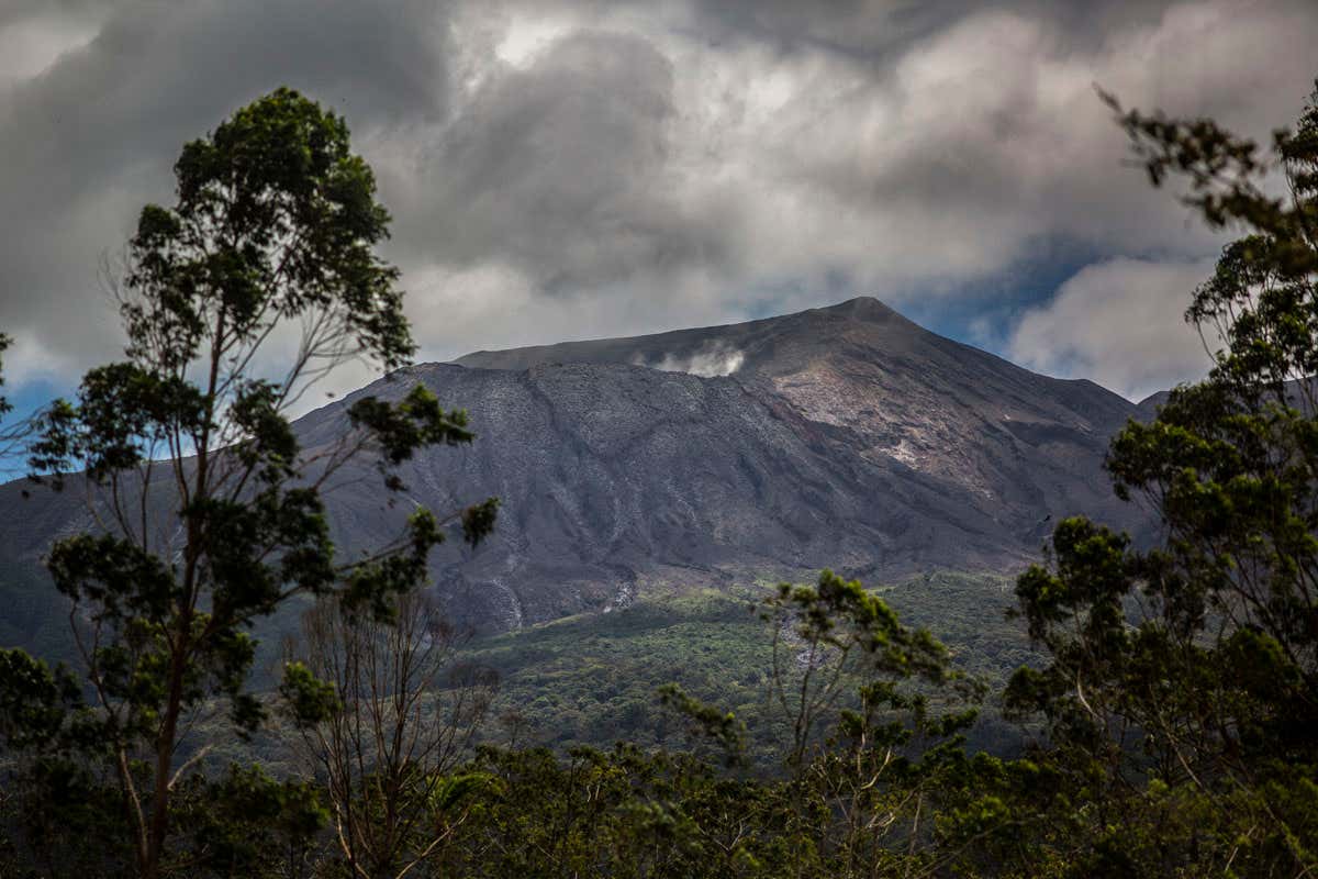 New Scientist. Science news and long reads from expert journalists, covering developments in science, technology, health and the environment on the website and the magazine.