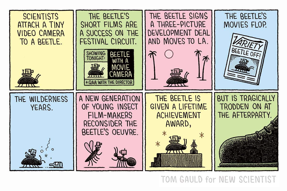 New Scientist. Science news and long reads from expert journalists, covering developments in science, technology, health and the environment on the website and the magazine.