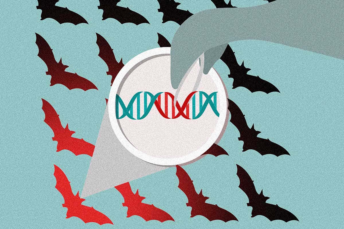 New Scientist. Science news and long reads from expert journalists, covering developments in science, technology, health and the environment on the website and the magazine.