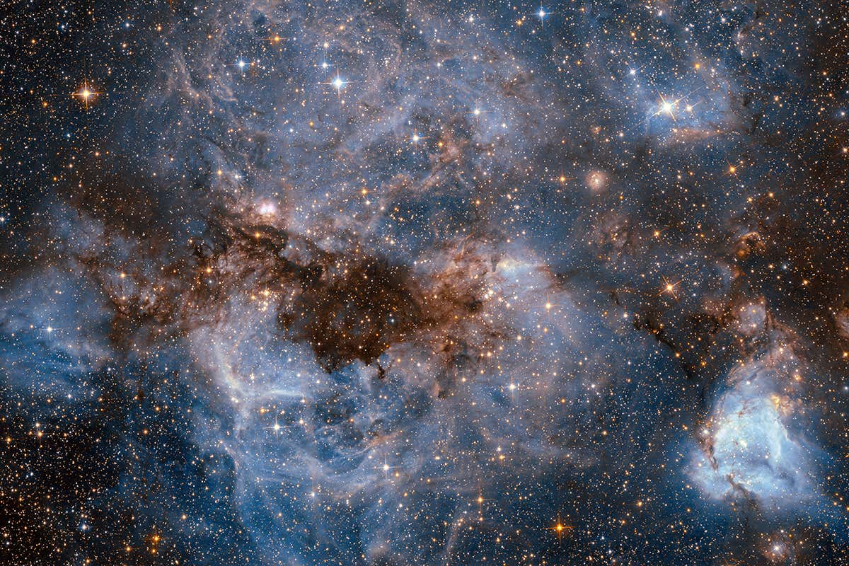 Large Magellanic Cloud