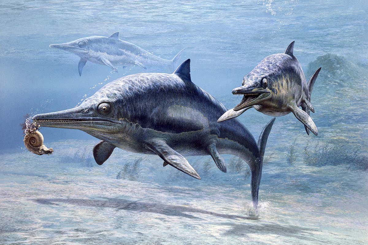 ichthyosaur