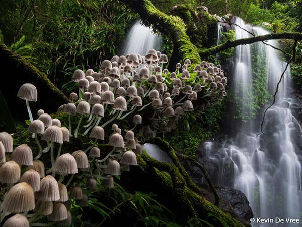 New Scientist. Science news and long reads from expert journalists, covering developments in science, technology, health and the environment on the website and the magazine.