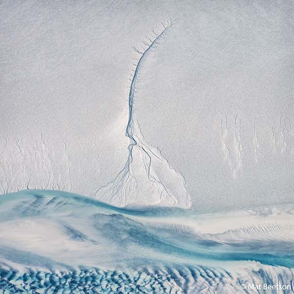 New Scientist. Science news and long reads from expert journalists, covering developments in science, technology, health and the environment on the website and the magazine.