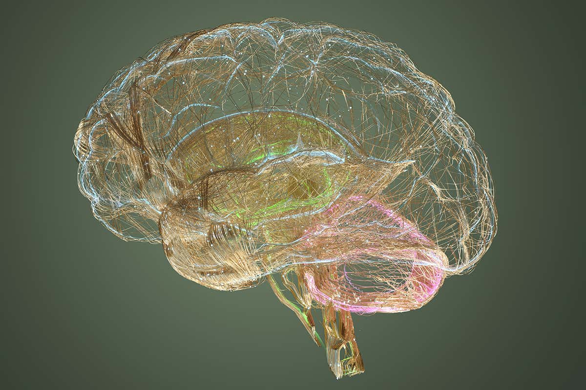 New Scientist. Science news and long reads from expert journalists, covering developments in science, technology, health and the environment on the website and the magazine.