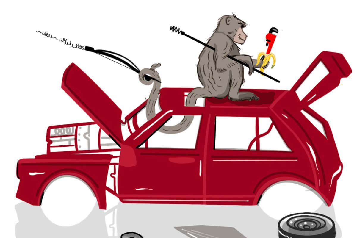 Baboons may have found a new car-vandalising tactic during lockdown