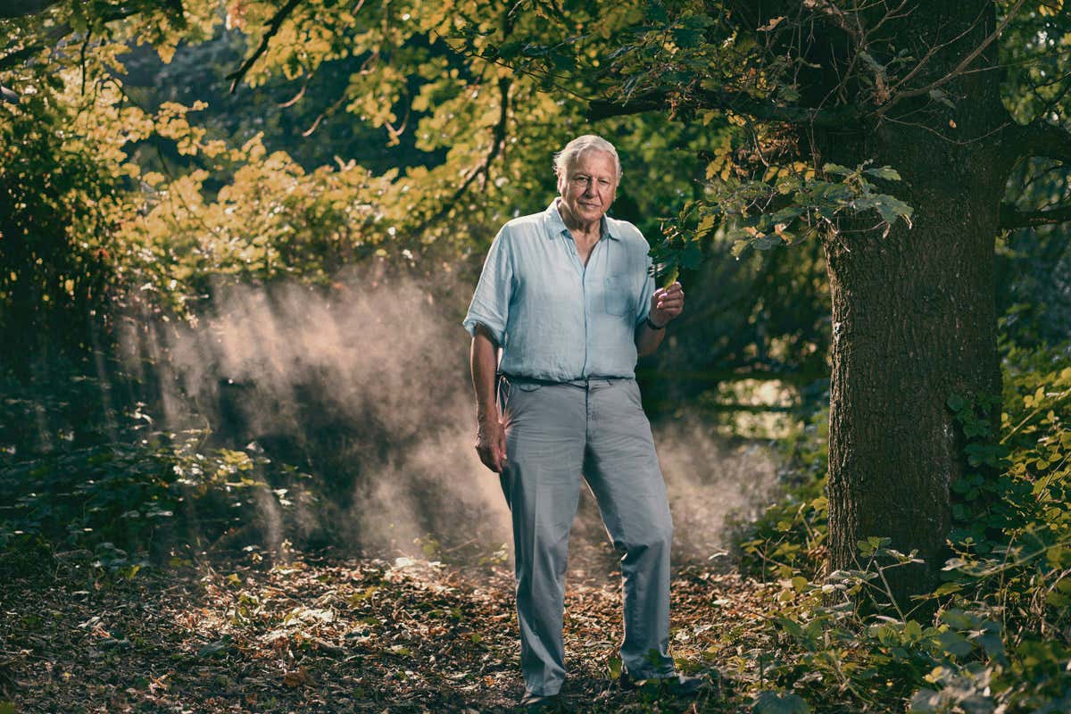 Extinction: The Facts