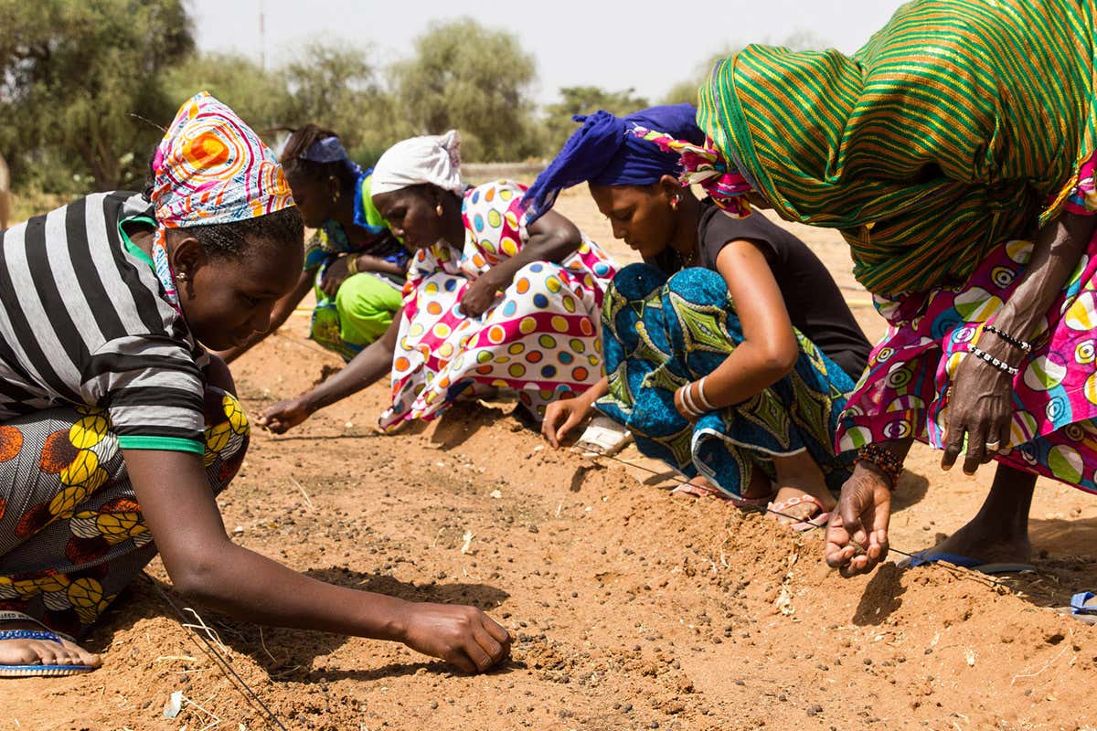 People planting trees