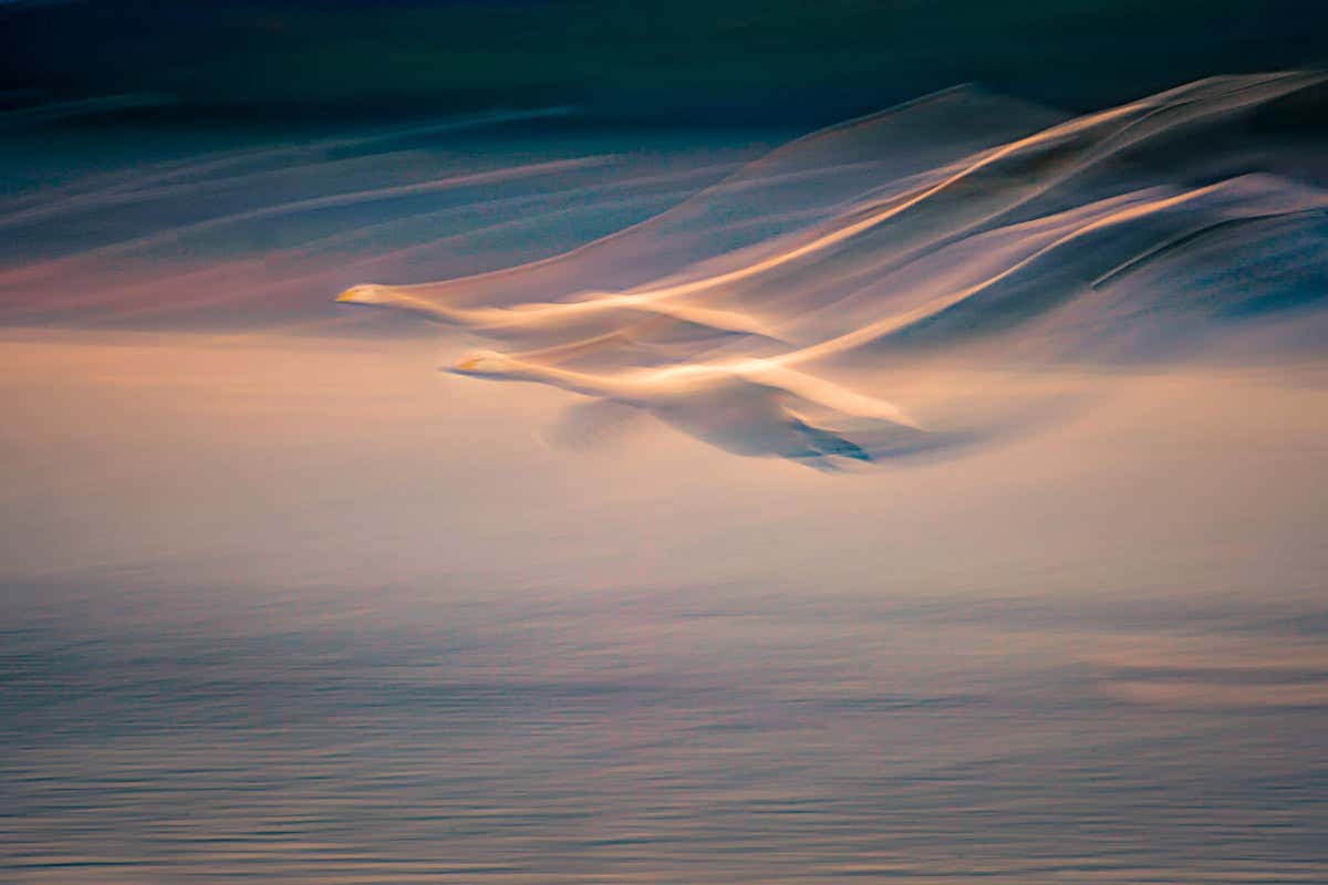 New Scientist. Science news and long reads from expert journalists, covering developments in science, technology, health and the environment on the website and the magazine.