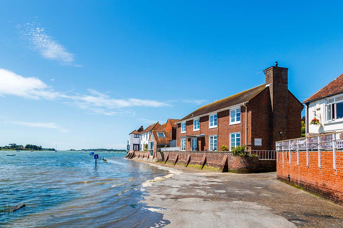 New Scientist. Science news and long reads from expert journalists, covering developments in science, technology, health and the environment on the website and the magazine.