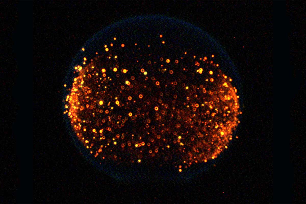 Lighting fires in space is helping us make greener energy on Earth