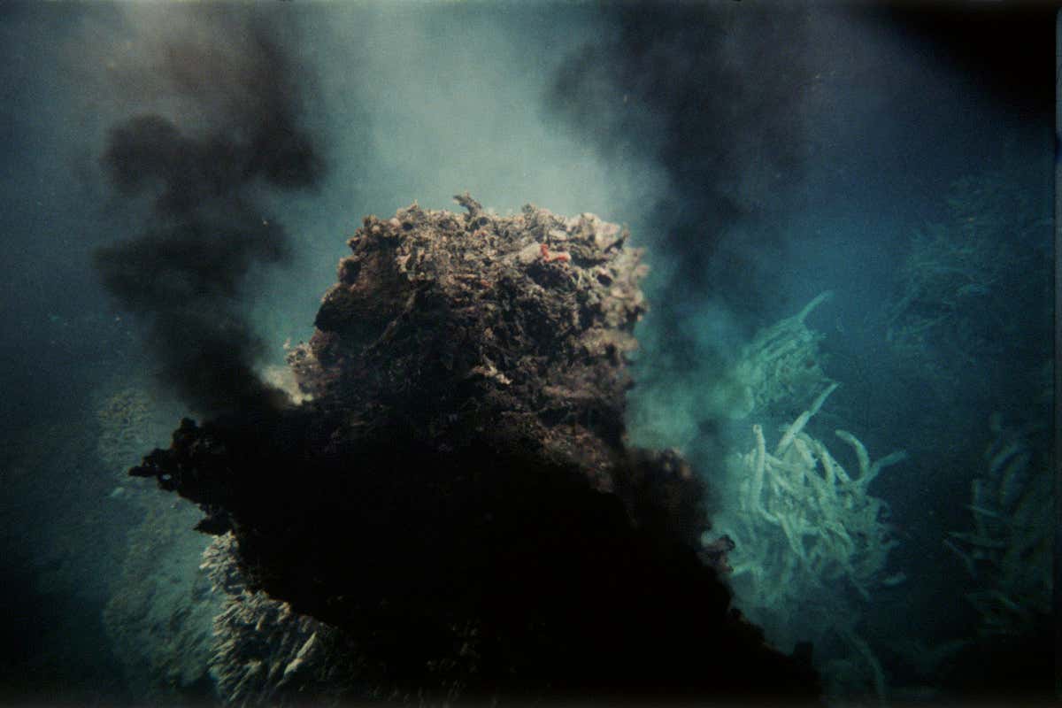 Deep-sea hydrothermal vents team with life. How are they colonised?
