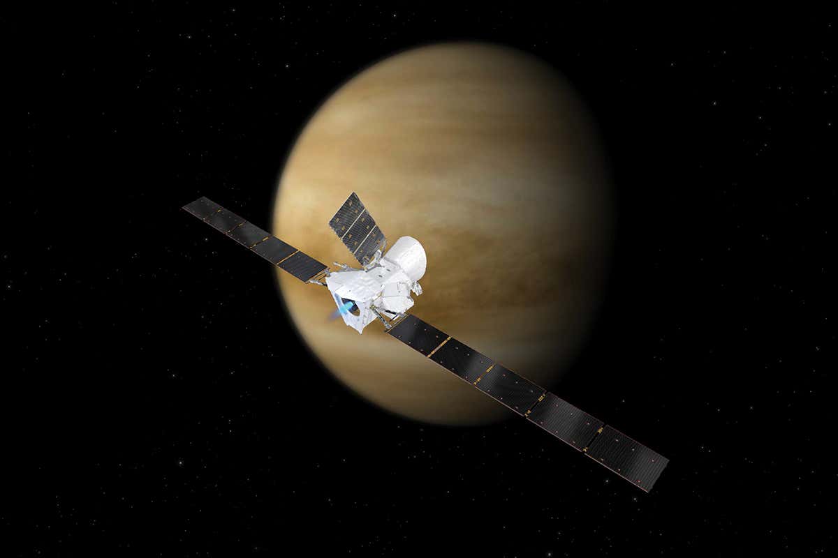 BepiColombo may be able to search for signs of life as it passes Venus